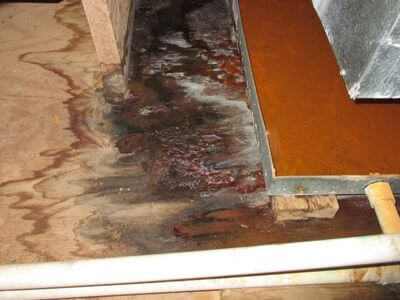 About water damage cleanup - ceiling water damage repair experts in Eden Prairie